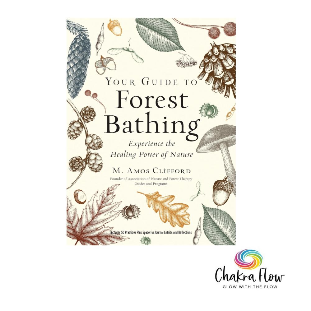 Your Guide to Forest Bathing