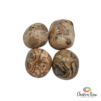 African Map Jasper, Tumble