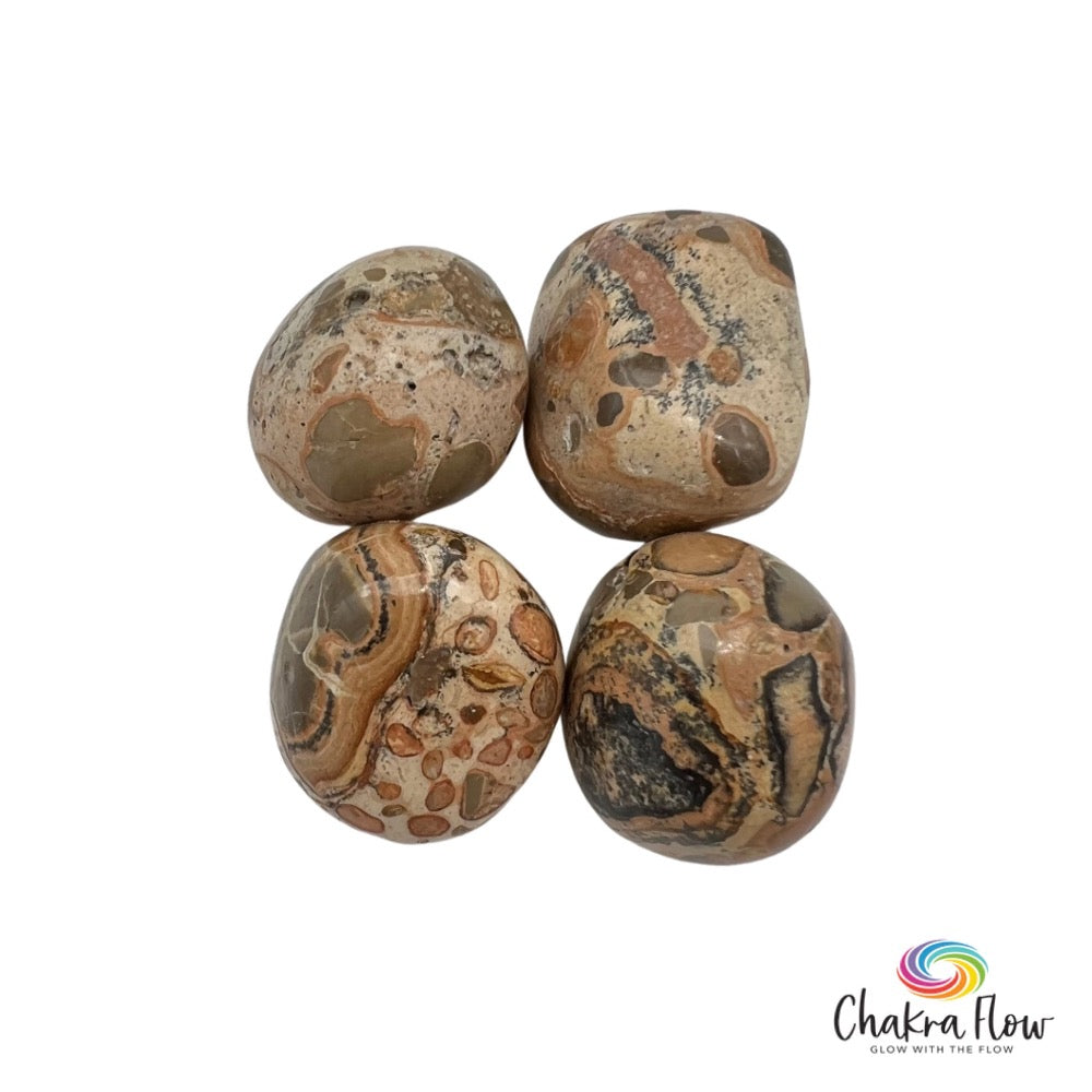 African Map Jasper, Tumble