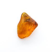 Amber Tumbled