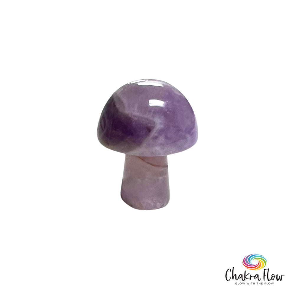 Amethyst Mushroom