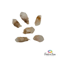 Amphibole Quartz Point