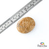 Aragonite Palm Stone