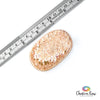 Aragonite Palm Stone
