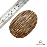 Aragonite Palm Stone