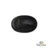Shungite Palm Stone