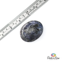 Iolite Palm Stone