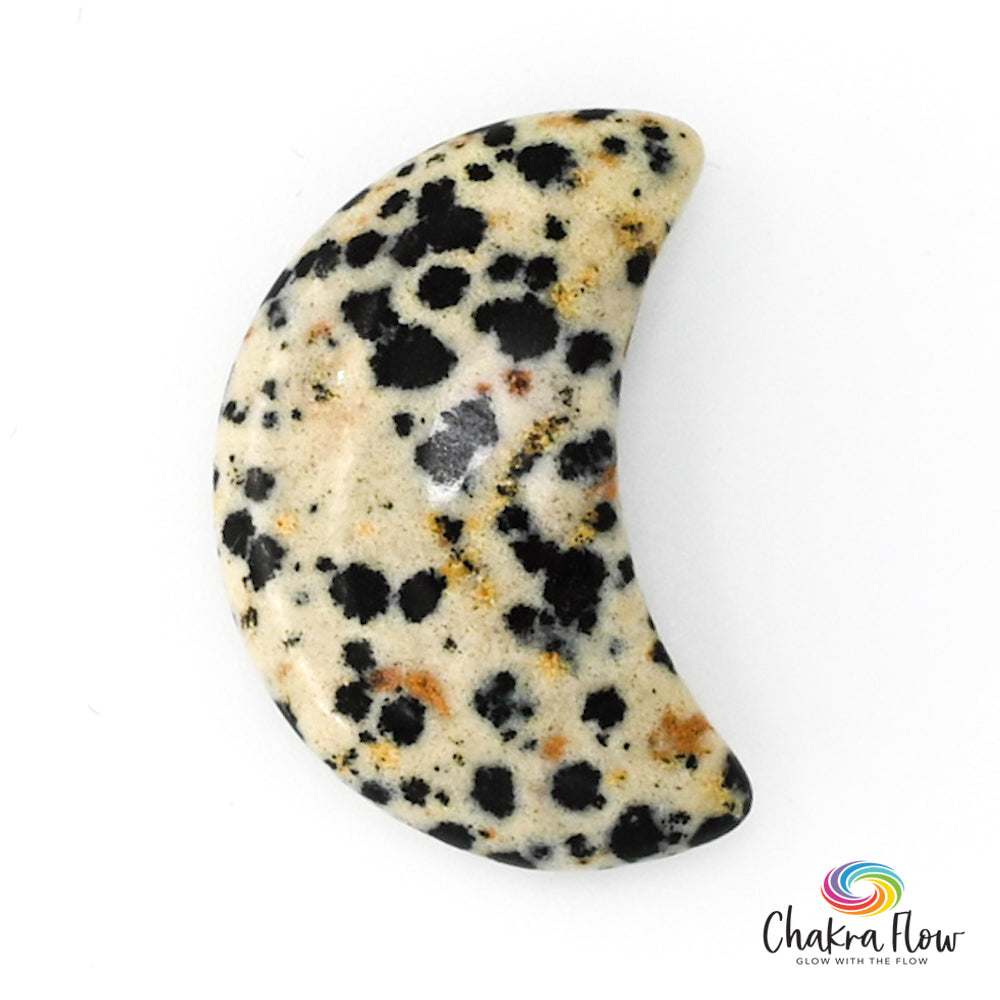 Dalmatian Jasper Moon 1"