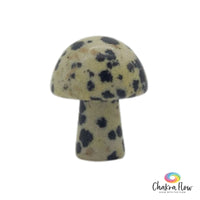 Dalmatian Jasper Mushroom