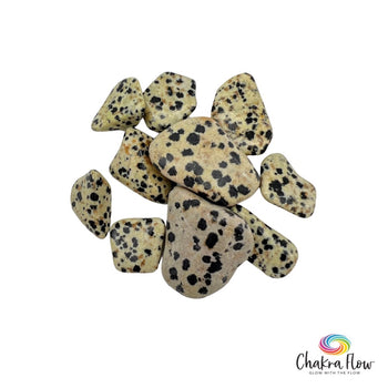 Dalmatian Jasper