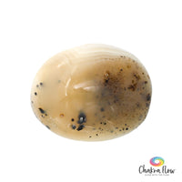 Dendritic Agate Galette