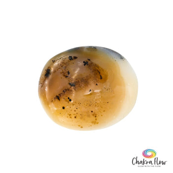 Dendritic Agate Palm Stone