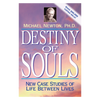 Destiny of Souls
