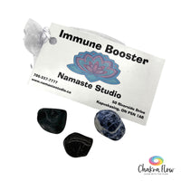 Immune Booster Mojo Bag