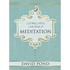 Meditation  David Pond