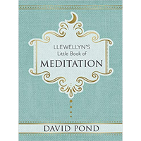 Meditation  David Pond