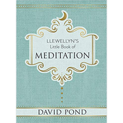Meditation  David Pond