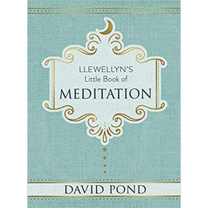 Meditation  David Pond