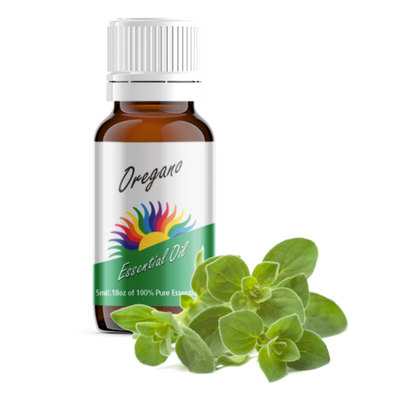 Oregano Essential Oil with Oregano Herb