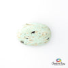 Peruvian Turquoise Palm Stone
