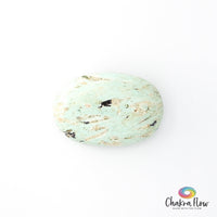Peruvian Turquoise Palm Stone