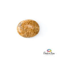 Aragonite Palm Stone