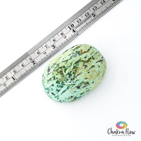 Peruvian Turquoise Palm Stone