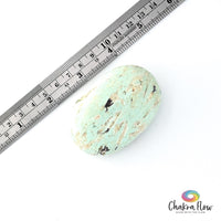 Peruvian Turquoise Palm Stone