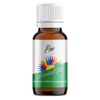 Pine Essential Oil 10ml