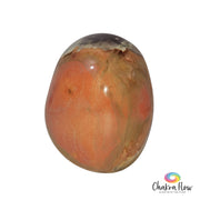 Polychrome Jasper Free Form