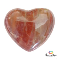 Red Petrified Wood Heart Palm Stone