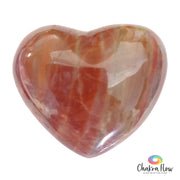 Red Petrified Wood Heart Palm Stone