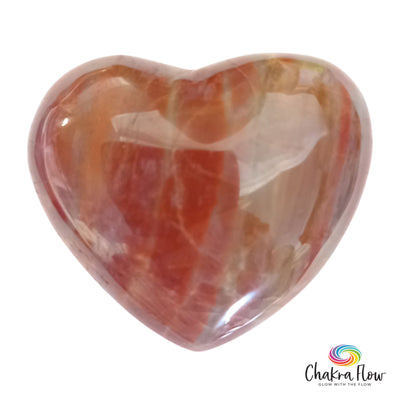 Red Petrified Wood Heart Palm Stone