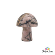 Rhodonite Mushroom