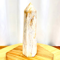 SPIN Desert Jasper