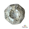 Sea Sediment Jasper Sphere Holder