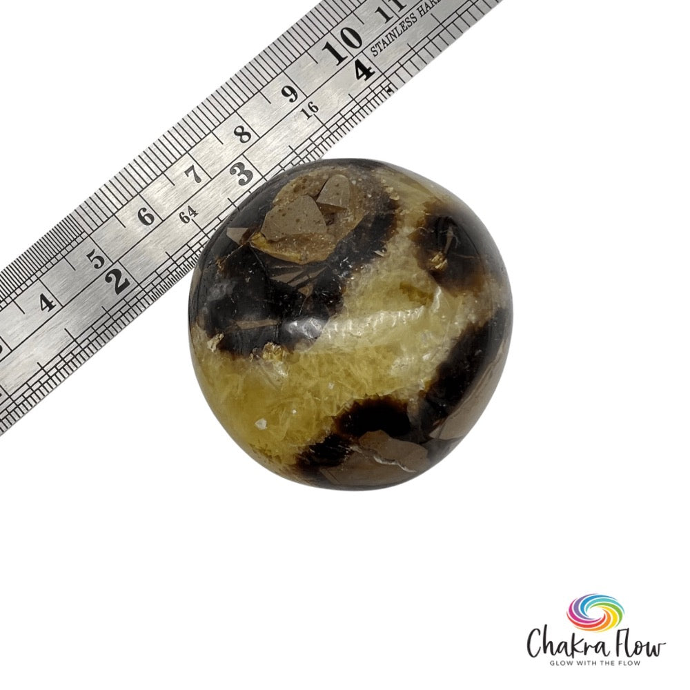 Septarian Palm Stone