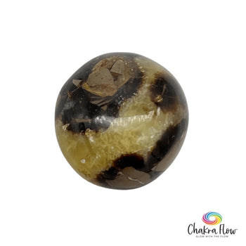 Septarian Palm Stone
