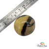 Septarian Palm Stone