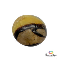 Septarian Palm Stone