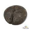 Septarian Egg