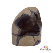 Septerian Free Form