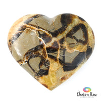 Septerian Heart