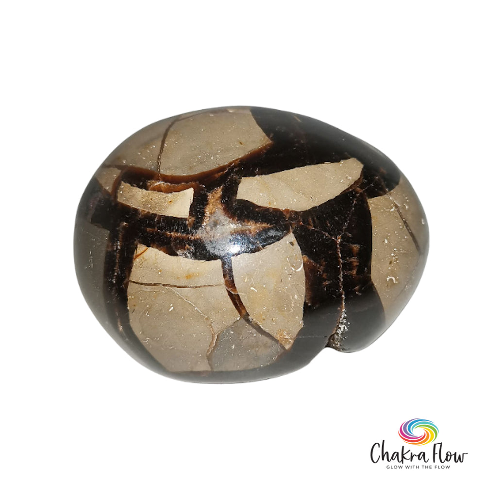 Septarian Egg