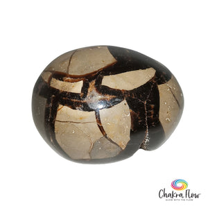 Septarian Egg