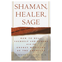 Shaman, Healer, Sage