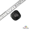 Shungite Palm Stone