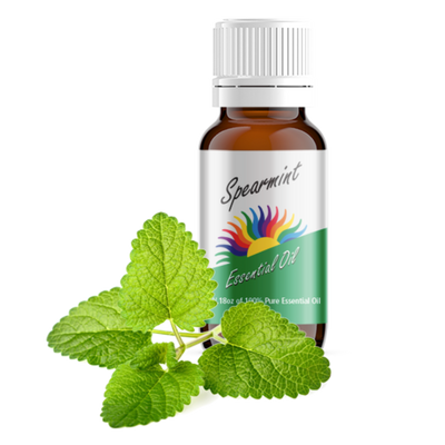 Spearmint Essential Oil with Herb