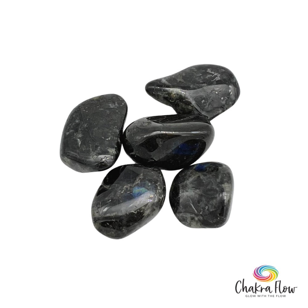 Spectrolite Tumbled Spectrolite Tumble | Chakra Flow