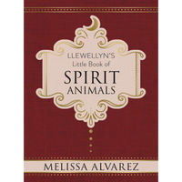 Spirit Animals  Melissa Alvarez